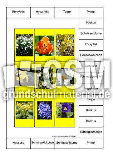 Bingo-Frühlingsblumen-1B.pdf